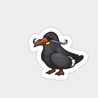 Inca Tern Sticker